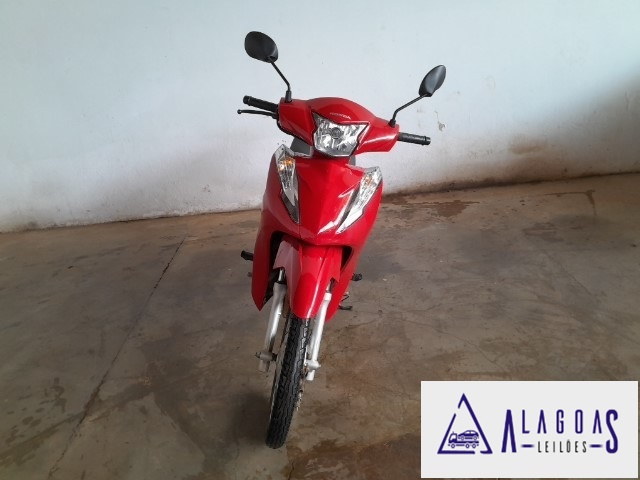 BIZ 110I 20242024<br><br> BIZ 110I 20242024<br><br>